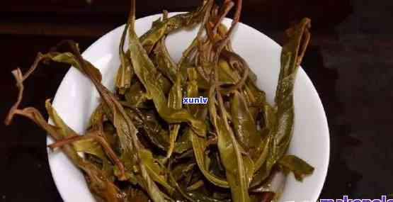 茶叶里的塑料棍状物是什么？揭示其含义与来源