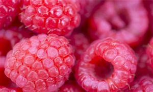 2024年中国食品包装行业现状及前景趋势分析(图5)