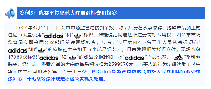 广东省肇庆市公布2024年打击侵犯知识产权和制售假冒伪劣商品典型案例