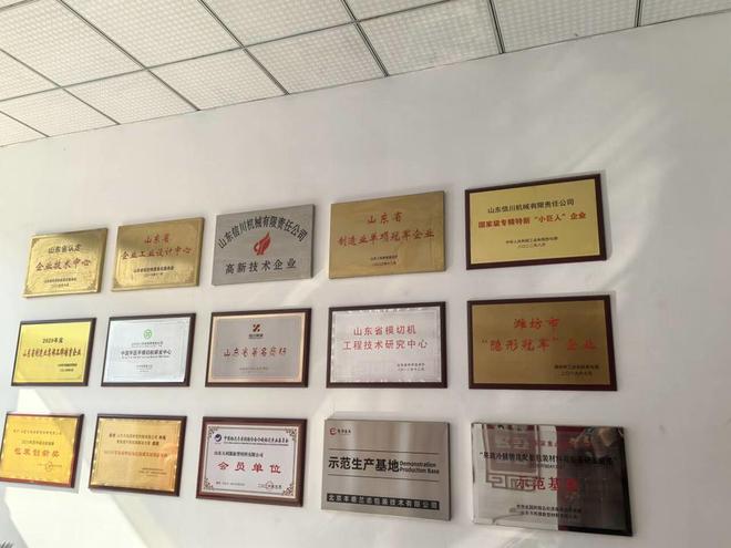 她力量｜45天转亏为盈潍坊这位女企业家把公司打造成国际一流(图4)