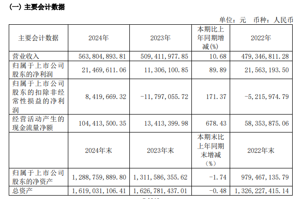 泰禾智能2024年营收同比增长1068%