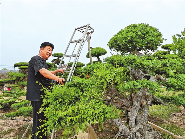 要颜值更要产值(图3)