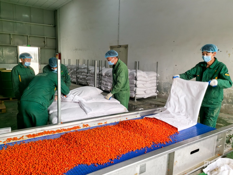 必一智能运动科技：高质量发展看中国丨产业援疆绘就阿合奇“金”果致富图(图4)