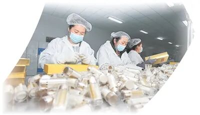 人民日报海外版从8棵参苗到万亩参田西洋参如何在文登“扎根”？(图3)