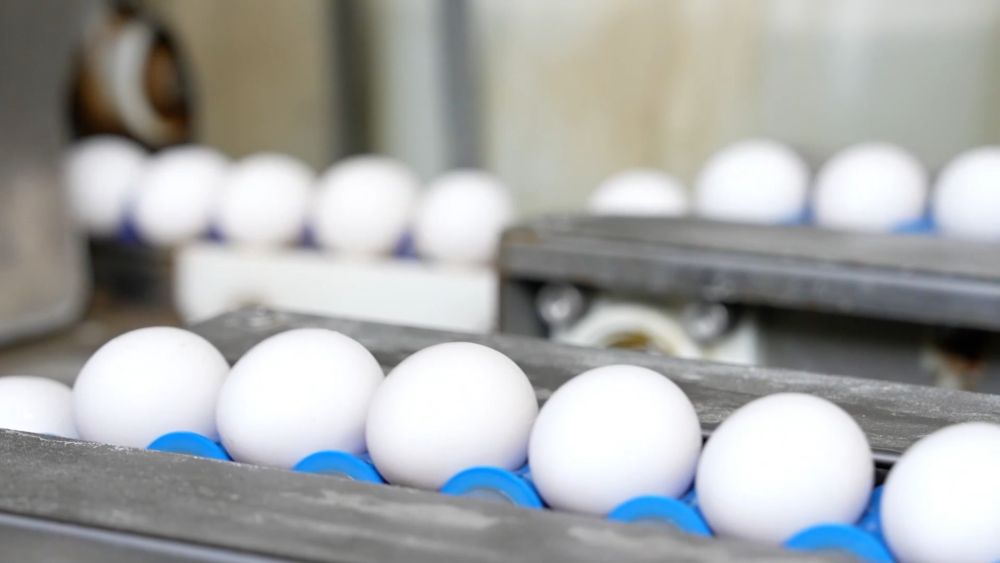 创新潮涌逐浪高——以创新驱动引领高质量发展一线见闻(图4)