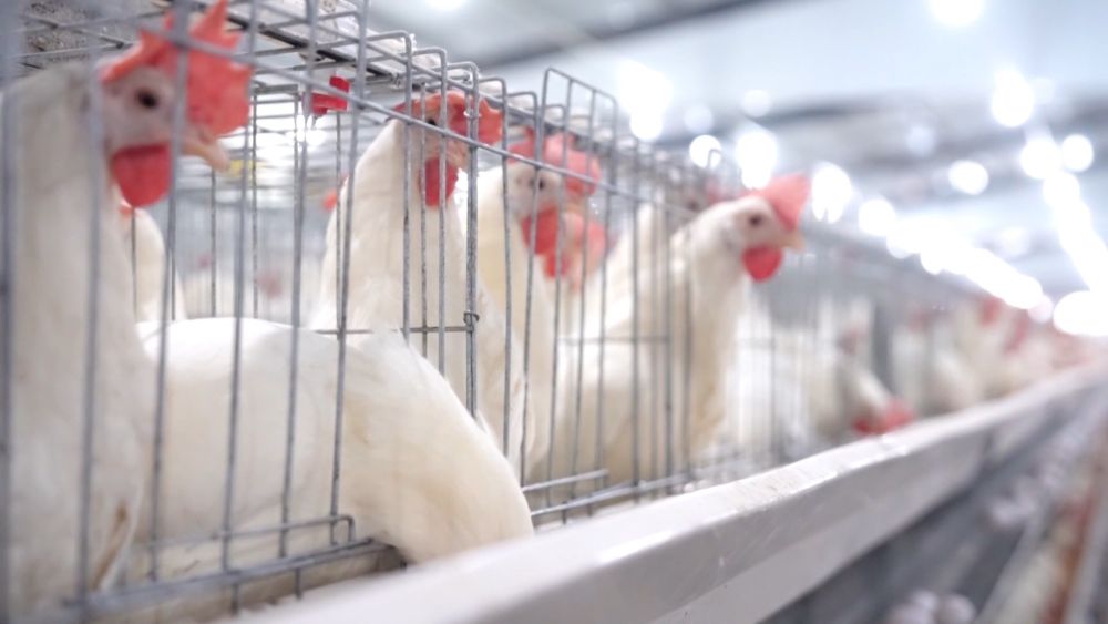 创新潮涌逐浪高——以创新驱动引领高质量发展一线见闻(图5)