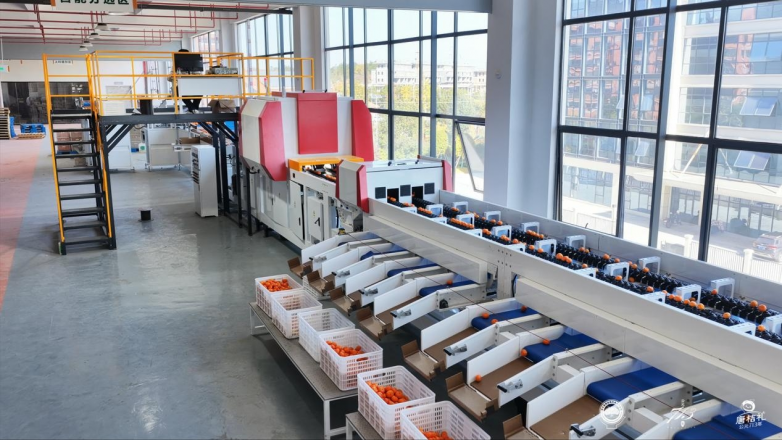 南丰蜜桔打造全产业链协同发展新模式龙头企业引领产业升级(图2)