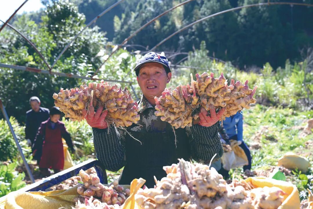 必一运动科技：资源变资产产业聚合力德化书写乡村共富实践答卷(图1)