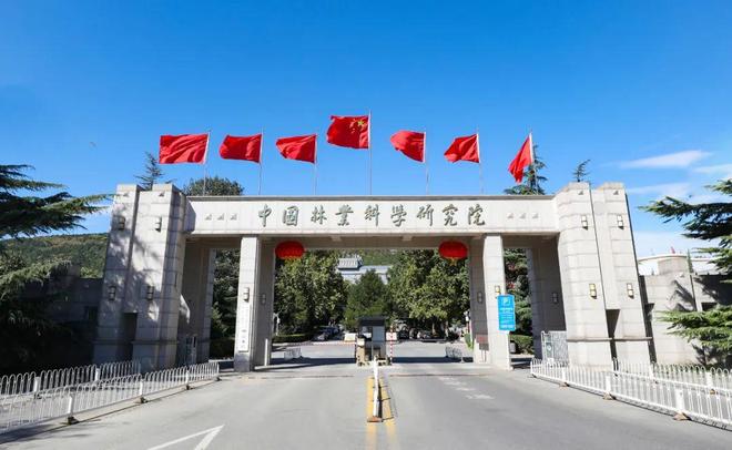 必一运动科技：日本和美国早已禁种中国为何依然大力种植？背后原因不简单(图12)