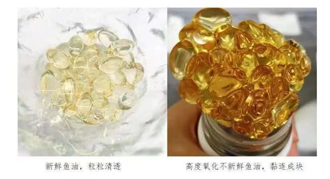 哪个牌子的深海鱼油好？2026深海鱼油十大品牌权威测评：基于临床和反馈的选购指南(图12)