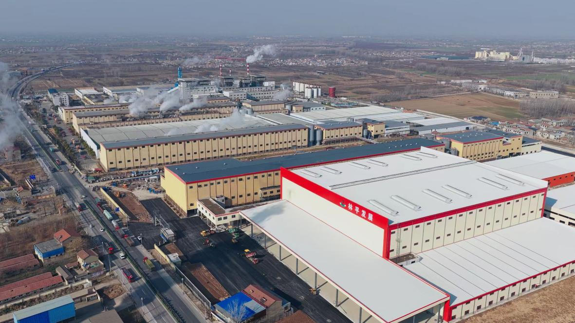 林平发展将于1月30日启动申购(图2)