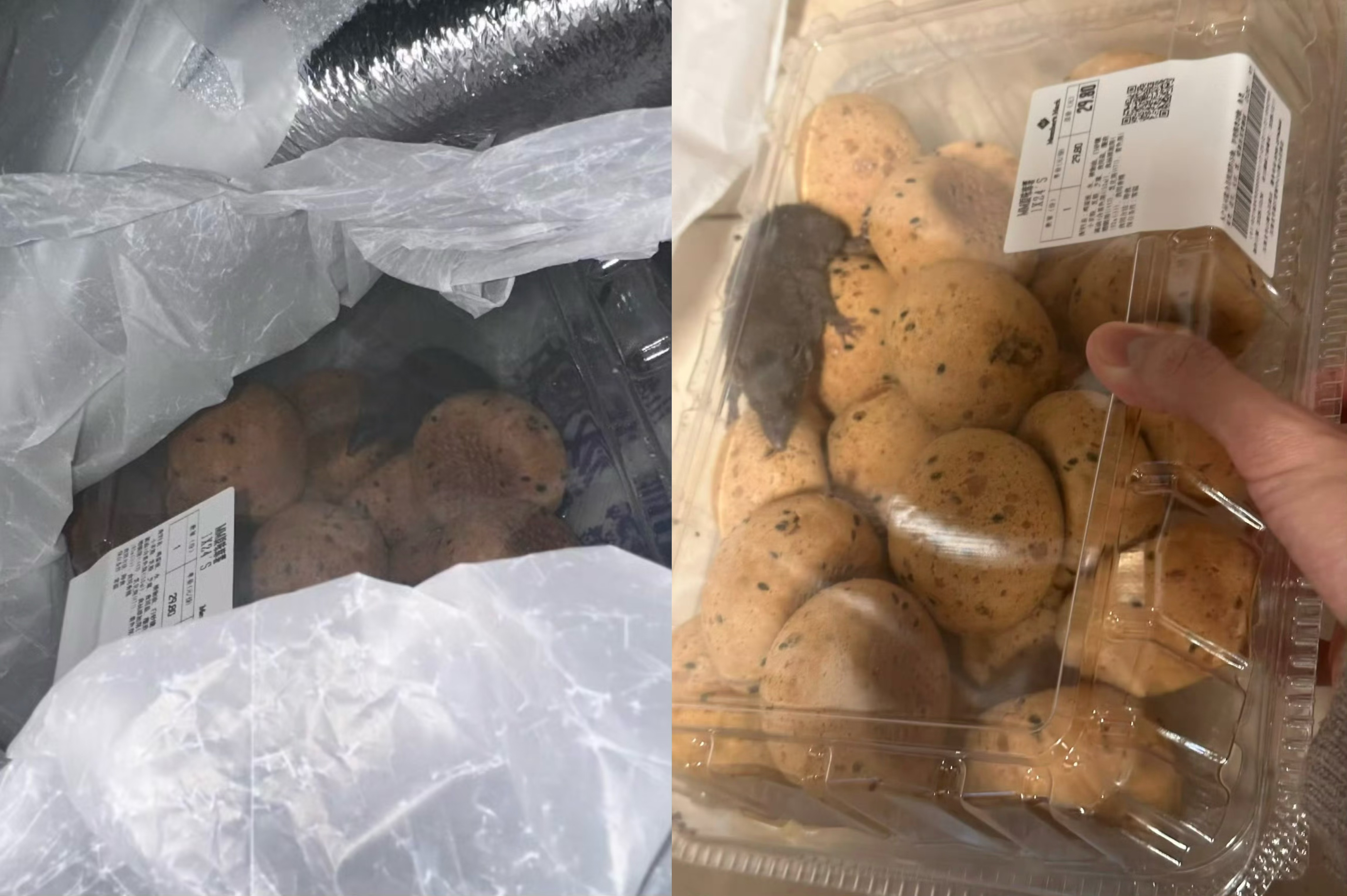 山姆回应麻薯盒内惊现老鼠：系在取货点放置期间被侵入(图1)