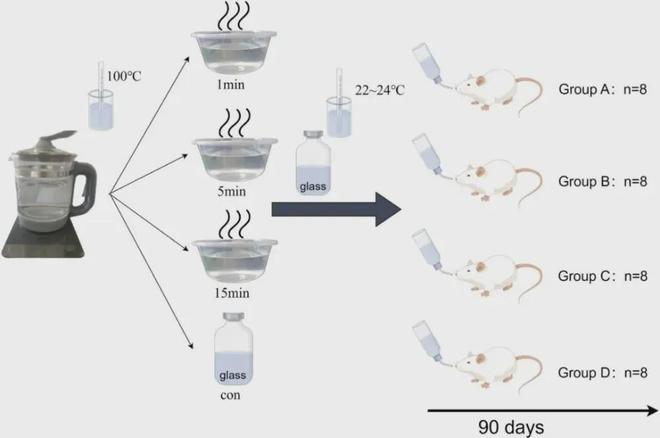 给小白鼠天天喝这种水后：心脏坏了、炎症高了！不少人还天天喝(图4)