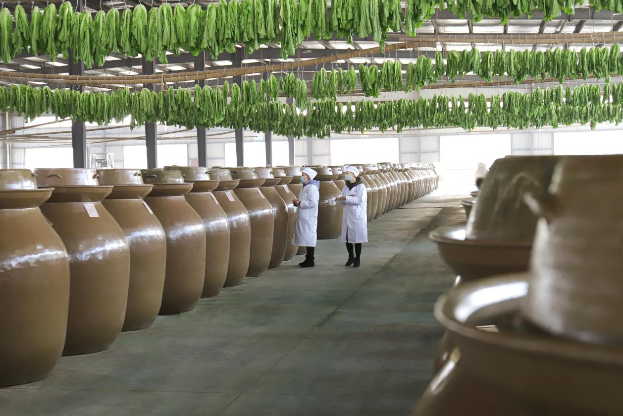 必一智能运动科技：打造食品行业标杆展会第十五届泡博会全链条专业化布局(图2)