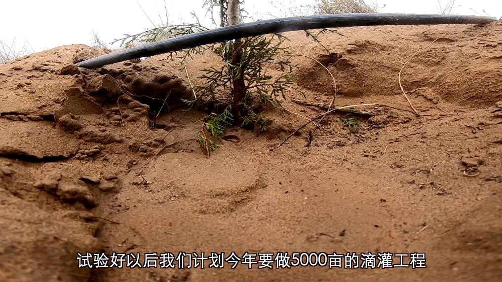 新华视点丨春日焕新景产业促振兴(图2)