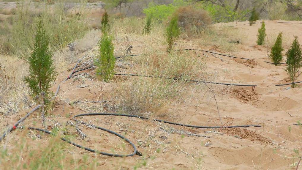 新华视点丨春日焕新景产业促振兴(图1)