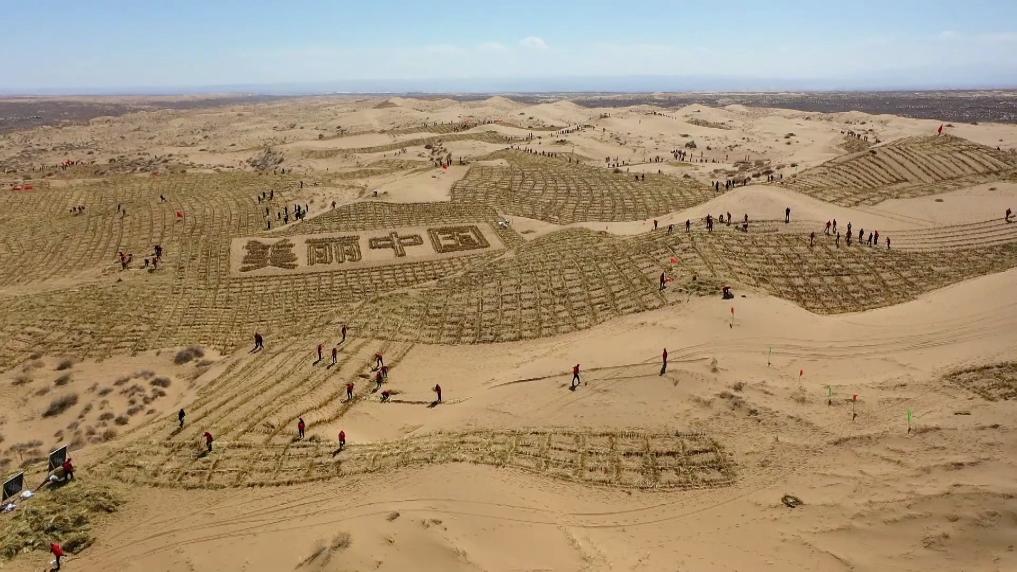 新华视点丨春日焕新景产业促振兴(图3)