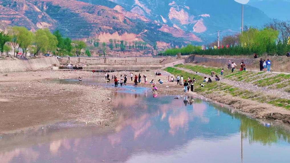 新华视点丨春日焕新景产业促振兴(图6)