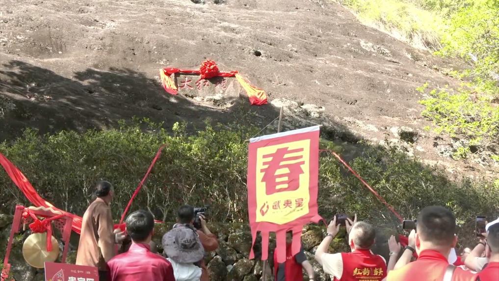 新华视点丨春日焕新景产业促振兴(图8)