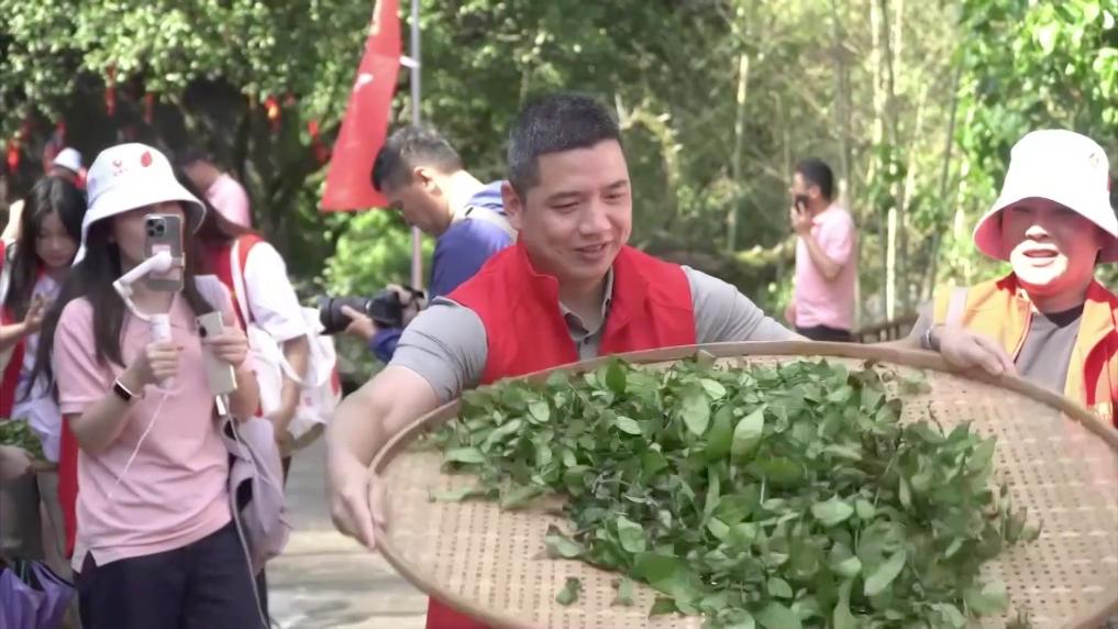 新华视点丨春日焕新景产业促振兴(图9)